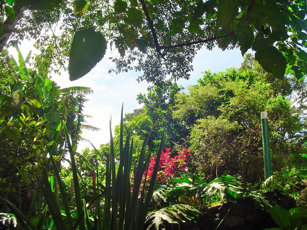 Casa Dell Angelo Apartamentos Visconde De Mauá Buitenkant foto